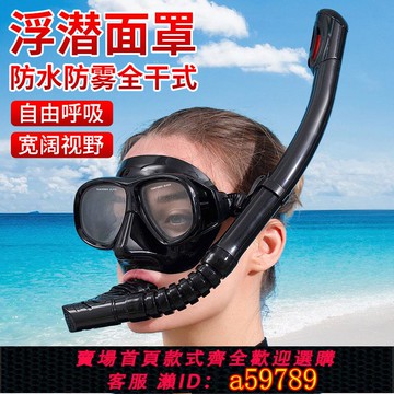 【全網低價 可打統編】潛水面罩全干式水下呼吸管游泳浮潛裝備近視帶度數潛水鏡護鼻一體