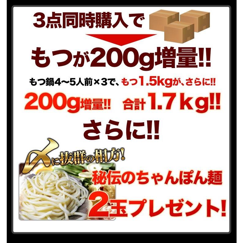 もつ鍋セットが送料無料でお取り寄せ（モツ鍋） お気軽セット４〜５人前チャンポン付き