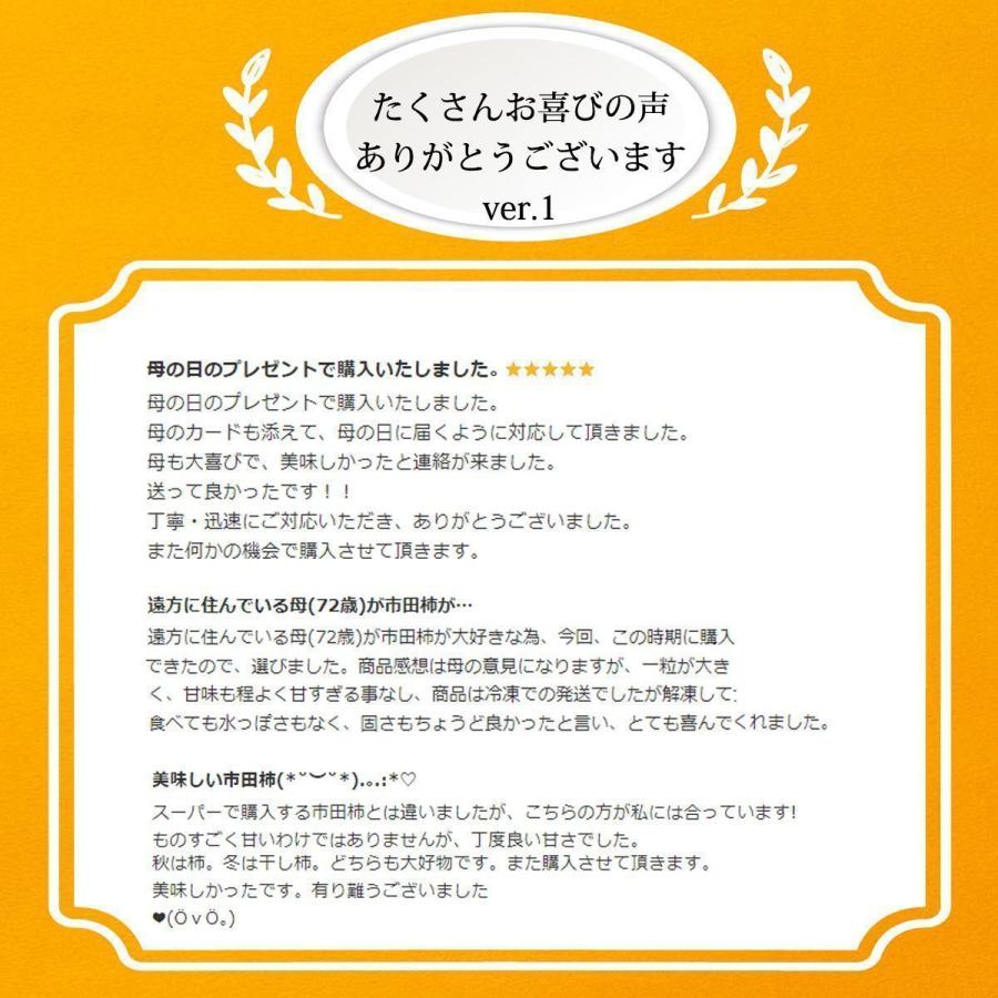 干し柿 市田柿 ドライフルーツ 送料無料 500g 自宅用 家庭用 干柿 ほし柿 5袋セット