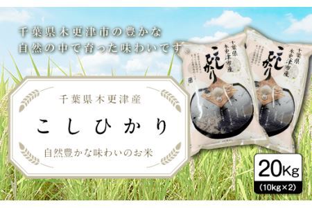 千葉県木更津産こしひかり20kg（10kg×2）