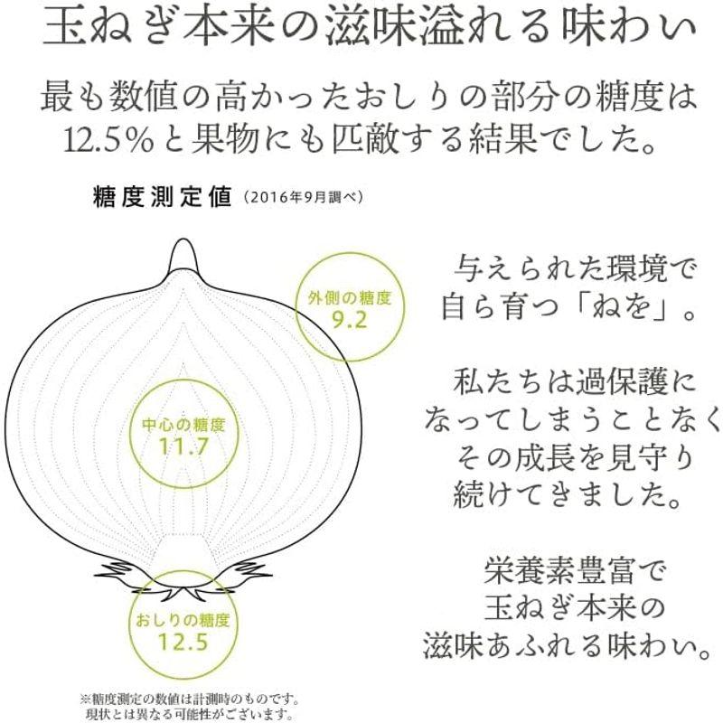 新篠津つちから農場 高級玉ねぎ「ねを NEO」北海道産 新篠津 特別栽培 高級たまねぎ (10kg)