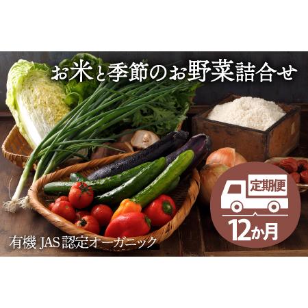 ふるさと納税 シェフの目線「大洲産のお米と季節のお野菜詰合せ」年間パスポート 愛媛県大洲市