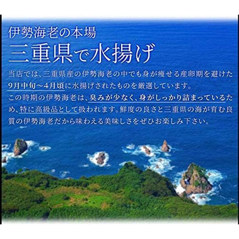 伊勢海老 詰合せ ２尾で７５０ｇ 美し国三重 伊勢路 縁 ギフトパッケージ 刺身用 瞬間 冷凍 伊勢エビ 詰合せ ギフト