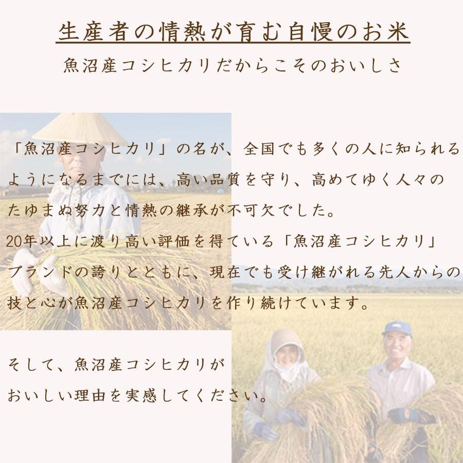 米 お米 魚沼 10kg コシヒカリ 新潟県産 5kg×2 令和5年産 白米
