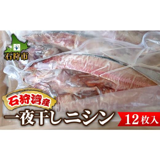 ふるさと納税 北海道 石狩市 10-122 一夜干しニシン 12枚入り