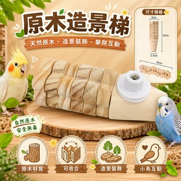 天然原木攀爬梯 原木造景梯 小動物木製攀爬梯 籠內造景階梯 天然木踏板 寵物攀爬玩具 籠舍佈置用品【20084】