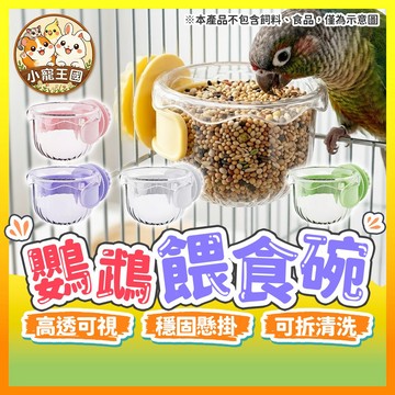 【小寵王國】鸚鵡餵食碗 鳥用食碗 鳥用飼料盒 防潑灑飼料盒 懸掛食盆 鸚鵡飼料盒 寵物食杯 飼料碗 飼料杯 透明水碗