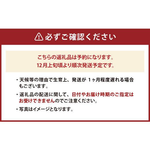 ふるさと納税 福岡県 太宰府市 贈答用 あまおう 約800g いちご イチゴ 苺 化粧箱入り