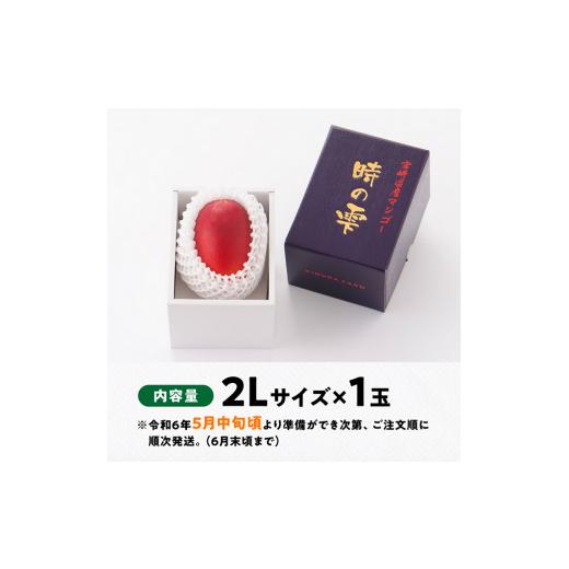 ふるさと納税 宮崎県 川南町 令和６年産 宮崎県産完熟マンゴー「時の雫」2L×1玉【 果物 フルーツ マンゴー 宮崎県産 九州産 完熟マンゴー みやざきマンゴー …