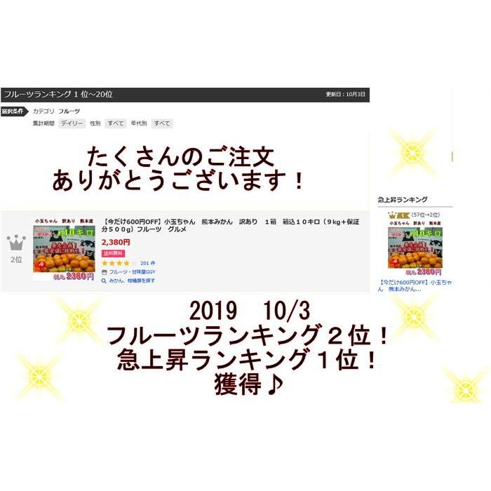 小玉ちゃん　訳あり　箱込１０キロ（９kg＋保証分５００g）熊本みかん　フルーツ　グルメ　みかん ミカン 蜜柑　小粒　小粒みかん　小玉　小玉みかん