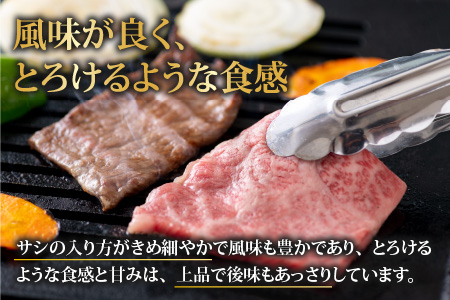 若狭牛焼肉食べ比べセット 1kg(上カルビ500g×1パック・モモ500g×1パック)