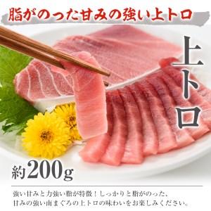 ふるさと納税 南まぐろの中トロセット 南まぐろ上トロ、中トロ、赤身各1柵（約600g） 希少な天然南まぐろをご家庭で！最上級の南まぐ.. 鹿児島県いちき串木野市