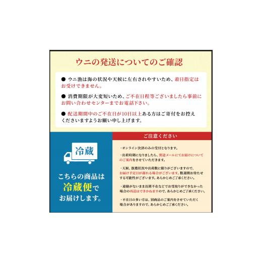 ふるさと納税 北海道 利尻町 北海道利尻島産 塩水生うに（バフンウニ）100g×3パック [2024年6月出荷開始先行受付] ウニ 塩水ウニ 北海道 利尻町 バフンウニ