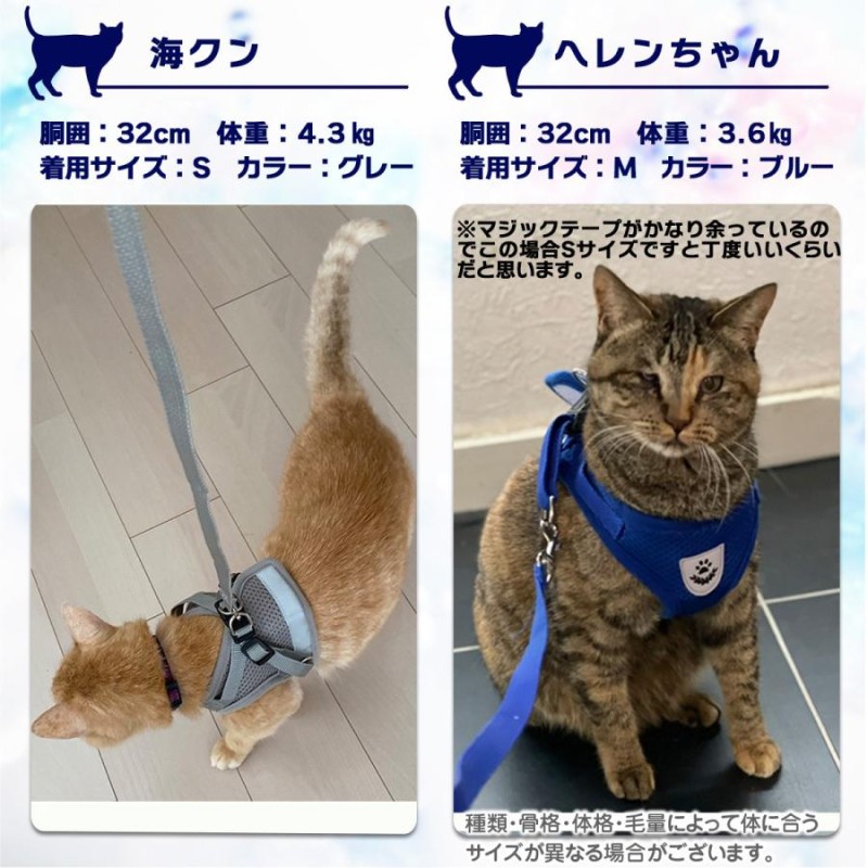 国内外の人気が集結 キャティーマン猫用胴輪おでかけベストSSサイズ