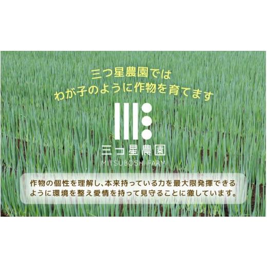 ふるさと納税 福井県 坂井市 福井県知事賞受賞！日本海の白ネギ（ギフト箱） 3本〜5本  [A-…