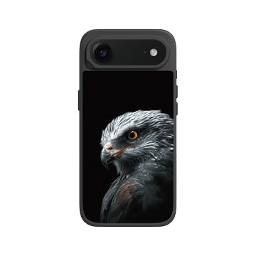 iPhone Air SolidX 黑 - Alexis Rateau - 黑鳶