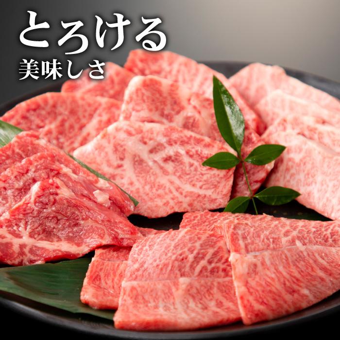 焼肉 黒毛和牛「極み」とろける焼肉セット 450g（2〜3人前）（竹） 焼き肉 お試しセット 送料無料