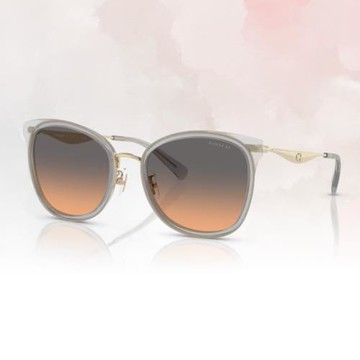 【COACH】圓形膠框太陽眼鏡(HC7170-945018 56mm)