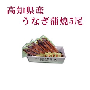 高知県産 うなぎ蒲焼 5尾／四万十 高知 冷凍 国産 無添加 ウナギ 鰻