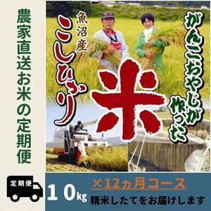 ふるさと納税 令和５年産新米がんこおやじが作った南魚沼産コシヒカリ白米１０kg（５kg×２袋） 新潟県南魚沼市