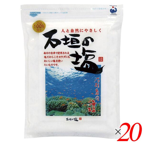 塩 石垣島 海塩 石垣の塩 500g 20個セット 送料無料