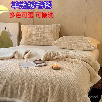 法蘭絨 加厚毯子 塔芙絨三層加厚毛毯 素色防靜電 加厚保暖 柔軟軟糯 毛毯 保暖毯 午睡毯 絨毯 冬天羊羔毯 【秋冬新款