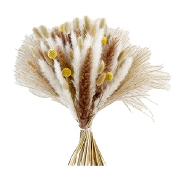 KUIBAO 快豹生活 簡約素胚花瓶 乾燥花036  土白色 + 土棕色  190g