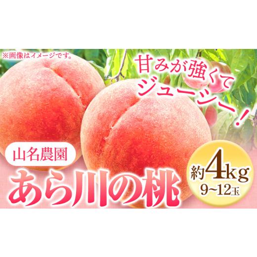 ふるさと納税 和歌山県 紀の川市 あら川の桃 約4kg 9-12玉 山名農園 《2024年6月下旬-9月中旬より順次出荷》 和歌山県 紀の川市 桃 もも モモ 白鳳 白桃 フル…