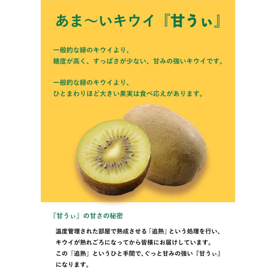 キウイフルーツ 甘うぃ 5Lサイズ 20玉 3.6kg 福岡県産 JAふくおか八女 ギフト 贈り物 ギフト お取り寄せ