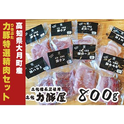 ふるさと納税 高知県大月町産 力豚 特選精肉セット　8種×100g 高知県大月町