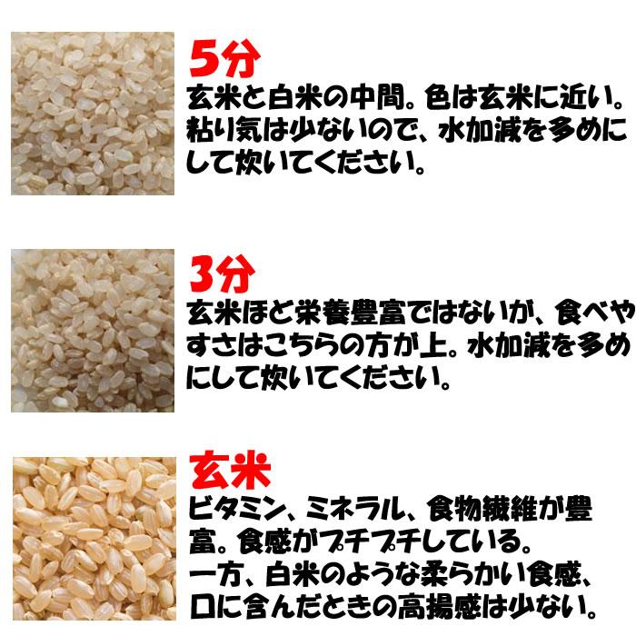 埼玉県産コシヒカリ5kg 精米 道の駅おかべ