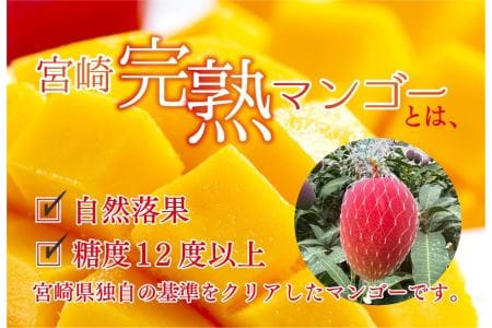 完熟 マンゴー ライチ セット 宮崎 高級 果物 フルーツ ギフト 贈答 先行受付 送料無料（14-72）