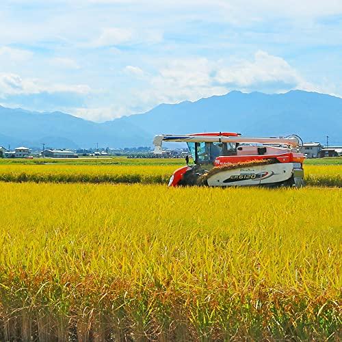  新米予約 令和5年産 富山県産 コシヒカリ 黒部川扇状地で育ったドリームファームのこだわり米 (20kg [5kg×4]) 厳選米