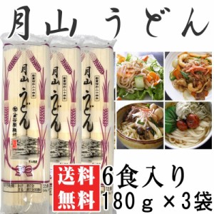 ポイント消化 うどん 送料無 お試し月山うどん 6人前 180g×3袋[月山うどん180ｇ×3 BS] メール便 ネコポス 即送