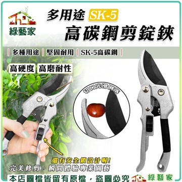 【綠藝家】多用途SK-5高碳鋼剪錠鋏 園藝剪刀 花剪 細枝剪 採果剪 修枝剪 剪刀 樹枝剪刀