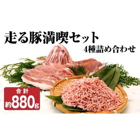 ふるさと納税 走る豚 満喫セット 4種 詰め合わせ 合計約880g ミンチ ロース もも バラ スライス 熊本県菊池市