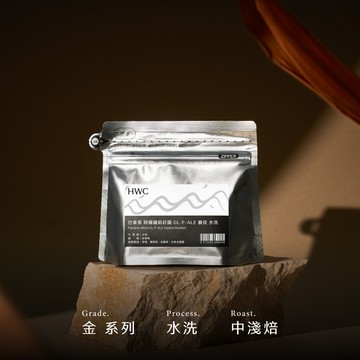 巴拿馬 阿爾鐵莉莊園 GL-F-ALE 藝伎 水洗100g