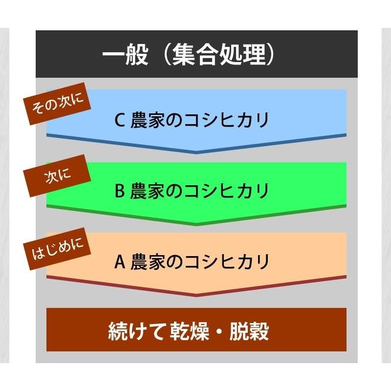 ＼新米入荷／米 玄米 30kg ミルキークイーン 厳選農家 玄米 白米・小分け選択可 令和5年兵庫県産 産地直送