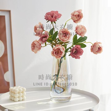 北歐創意簡約玻璃花瓶水養透明客廳插花瓶干花裝飾擺件【時尚大衣櫥】