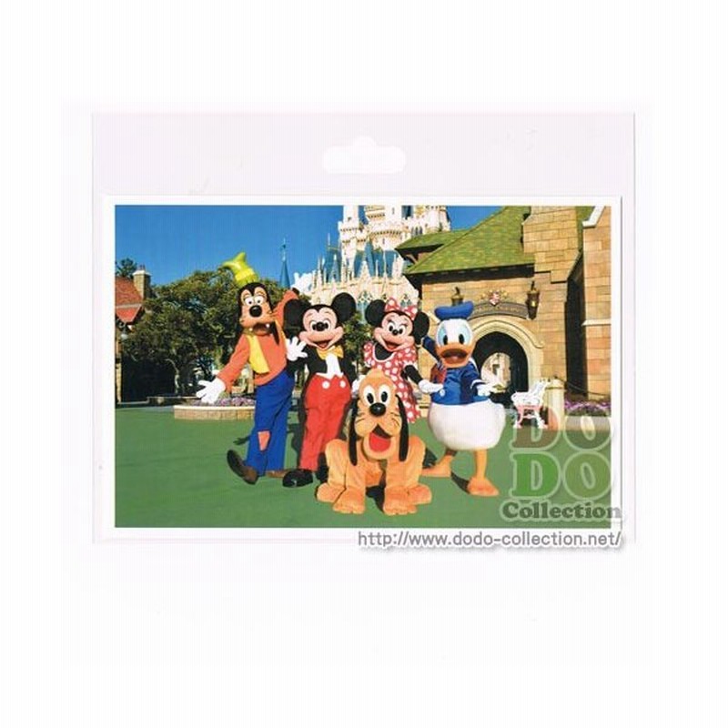 ミッキー 仲間たち イン ディズニーランド 実写 ポストカード 東京ディズニーリゾート 限定 文房具 グッズ お土産 通販 Lineポイント最大0 5 Get Lineショッピング