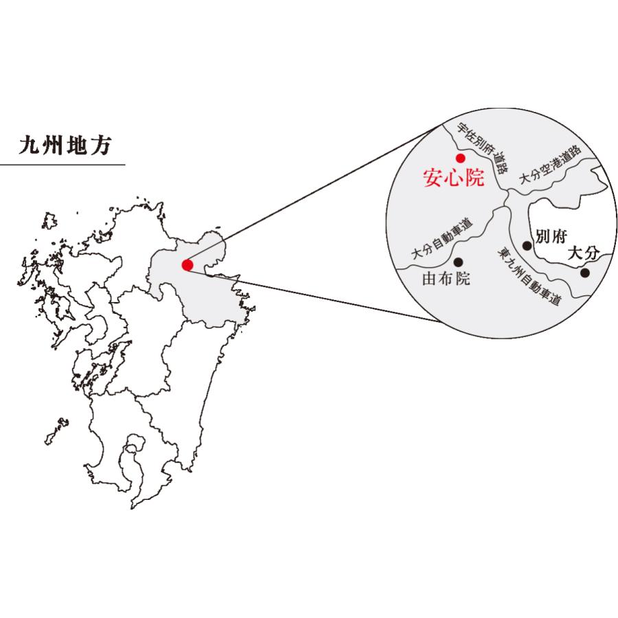 濃縮蜜柑（干しみかん） 純国内産・無添加  安心院ドリームファーマーズ 国産ドライフルーツ大分県産