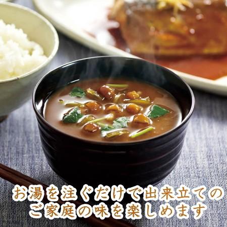 アマノフーズ味噌汁セレクトギフト M-300Pフリーズドライ　味噌汁