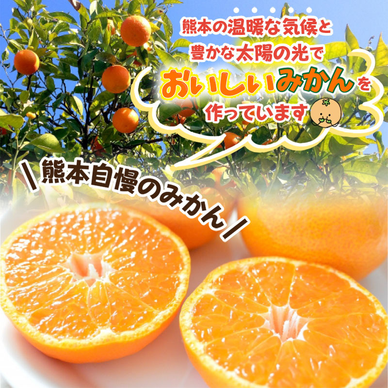 みかん 温州みかん 訳あり 熊本産 10kg 9kg＋1kg補償付き S-3L サイズ不選別 家庭用 完熟 常温便