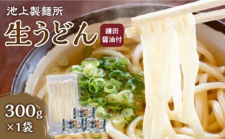 うどん 生うどん 讃岐うどん さぬきうどん 　池上製麺所　生うどん（鎌田醤油付）1袋（3人前）