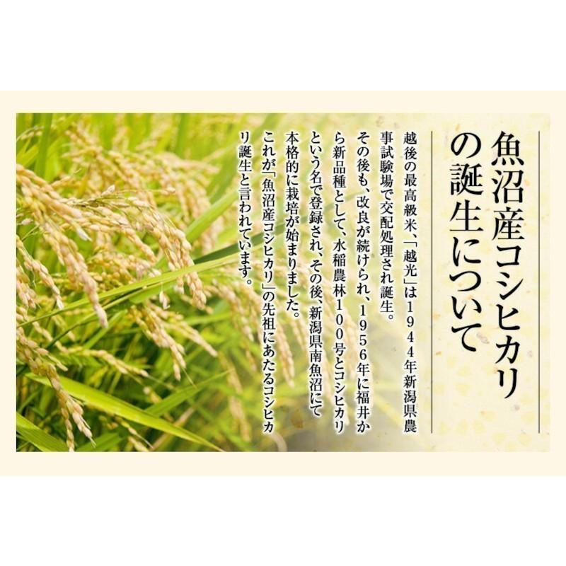 令和５年産新米 コシヒカリ 10kg 玄米 特Ａ地区 魚沼産 特別栽培米 新潟県 中魚沼 JA津南町農協 産地限定 雪美人 送料無料