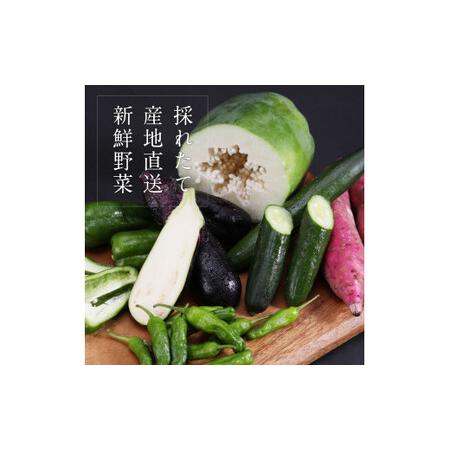 ふるさと納税 朝どれ！ 野菜詰合せ／芸西村で採れた新鮮な野菜6〜8種類をお届けします。特産品 ピーマン ナス こだわりの栽培方法 環境に優しい .. 高知県芸西村