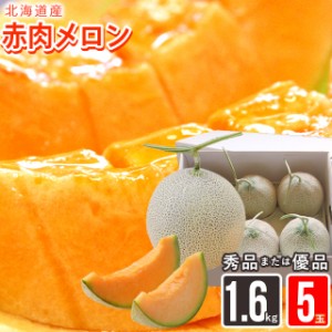 2024年 予約受付中 メロン ギフト 送料無料 北海道産赤肉メロン 約1.6kg×5玉(優品または秀品)   北海道産 道産 メロン めろん フルーツ