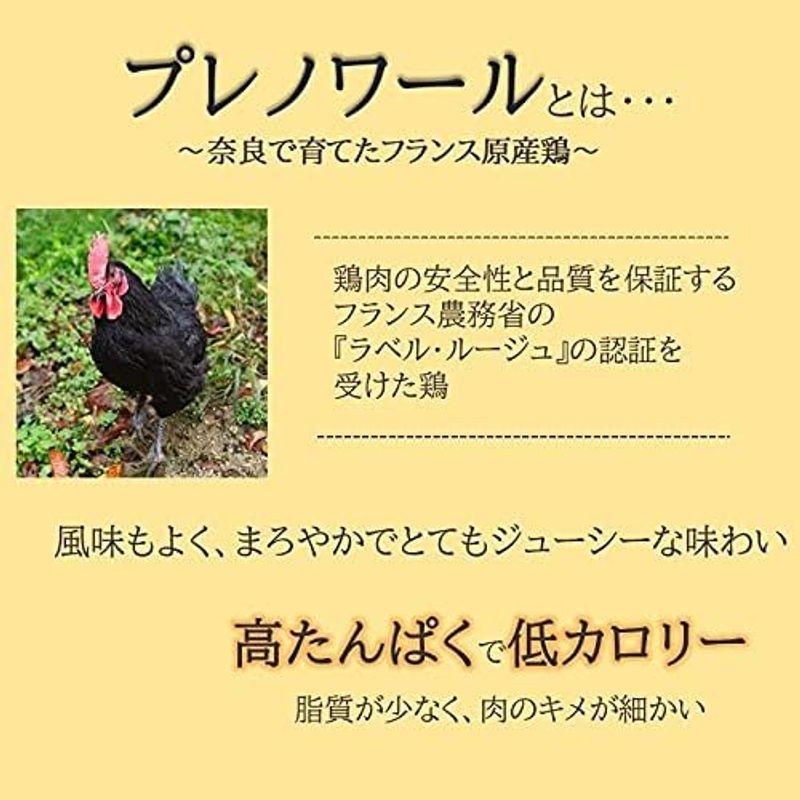 チキンカレー フランス原産鶏 プレノワール レトルトカレー 200g 10食セット