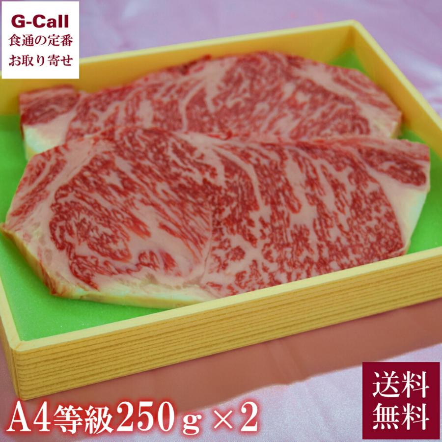 JA宮崎中央 宮崎牛 Ａ4等級 サーロインステーキ 250g 2枚入り 送料無料 牛肉 肉 ステーキ肉 ブランド肉 高級 宮崎県 産地直送 お取り寄せ 贈答 お祝い 自宅用