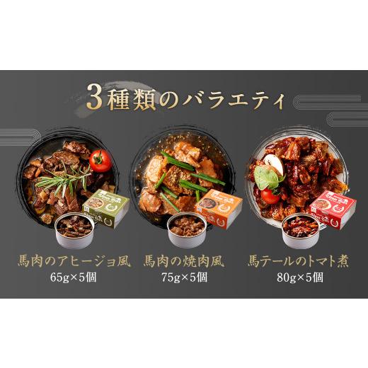 ふるさと納税 熊本県 高森町 Uma Bar 馬肉 缶詰 3種×各5個 計15個 セット